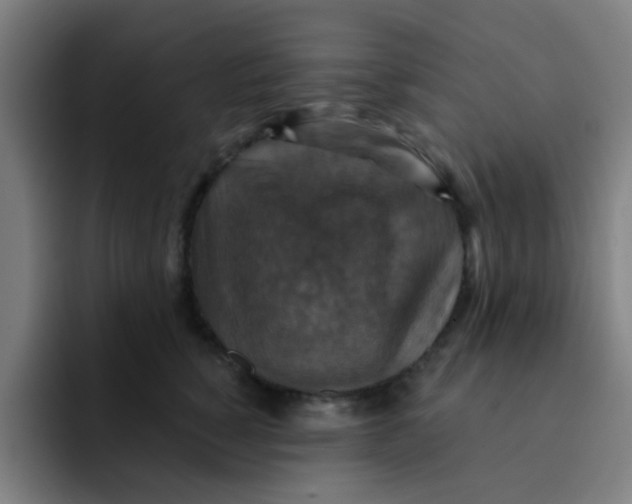 X0000091910760200709261715