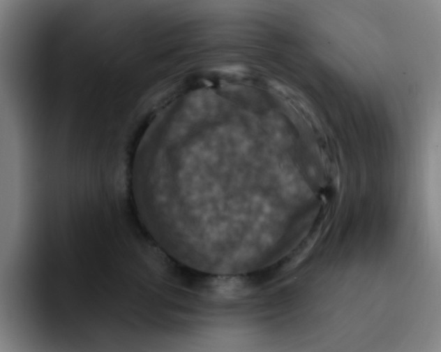 X0000091910762200709261715