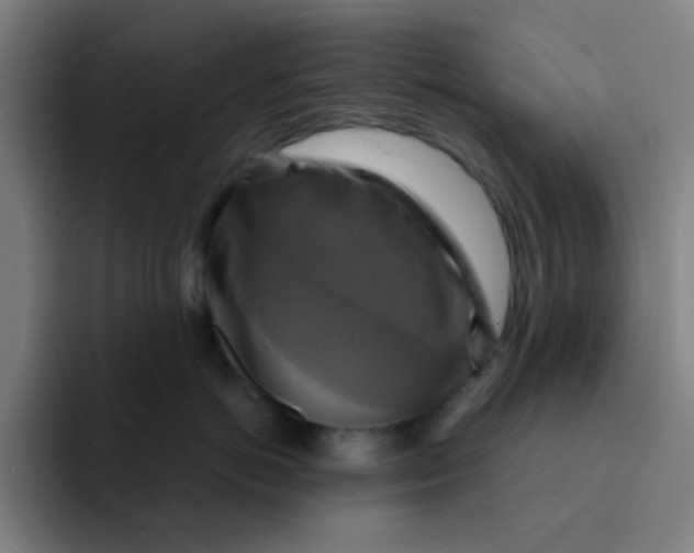 X0000091910766200709261715