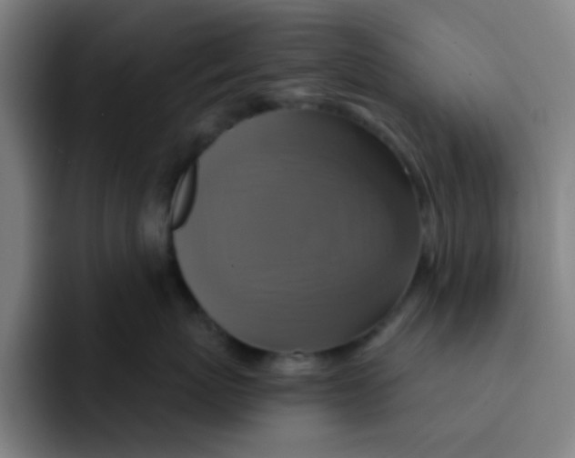 X0000091910767200709261715