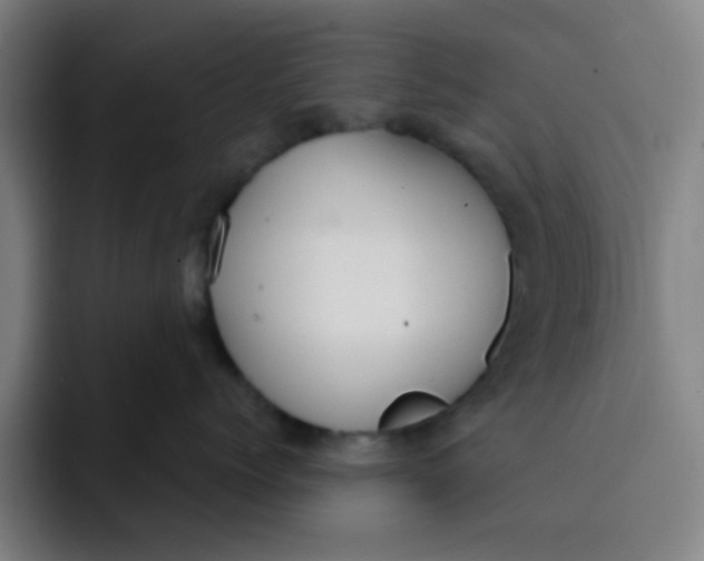 X0000091910768200709261715