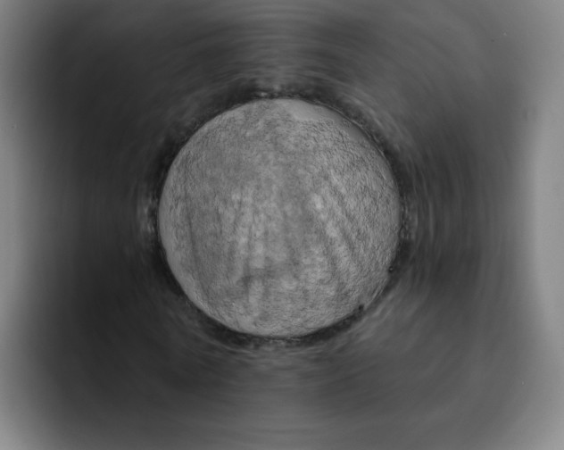 X0000091910770200709261715