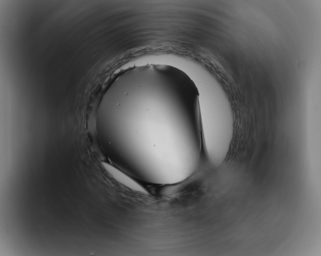 X0000091910773200709261715