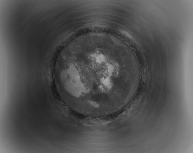 X0000091910774200709261715