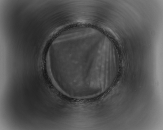 X0000091910776200709261715