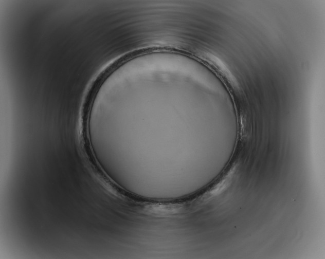 X0000091910780200709261715