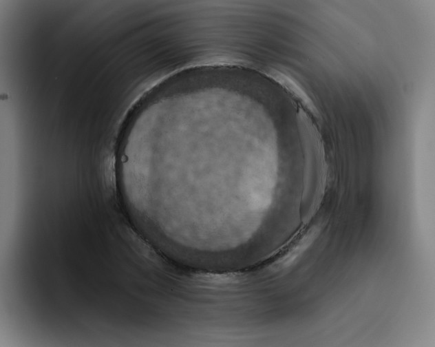 X0000091910781200709261715