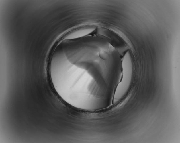 X0000091910783200709261715