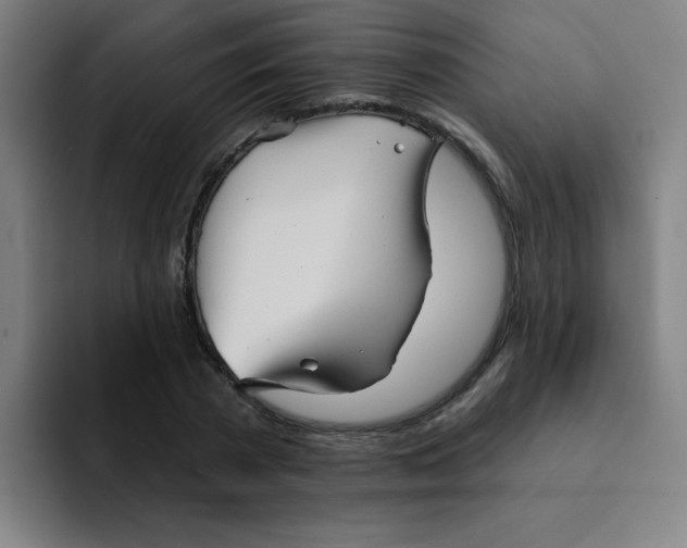 X0000091910785200709261715