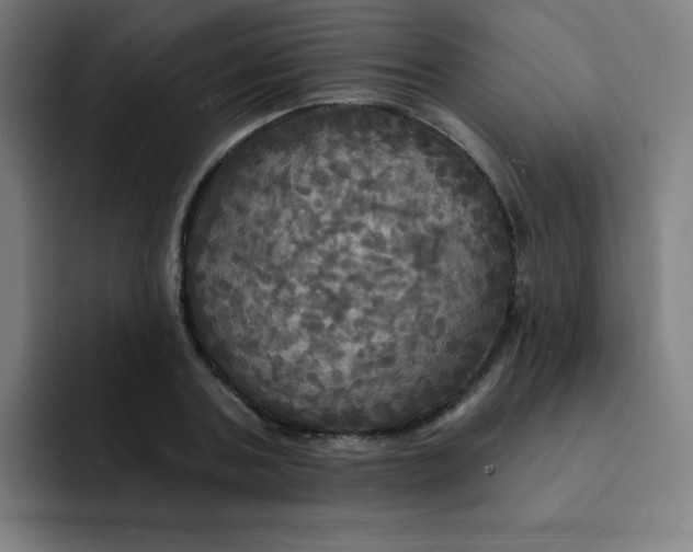 X0000091910787200709261715