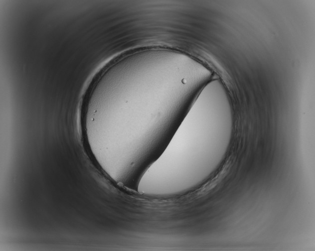 X0000091910788200709261715