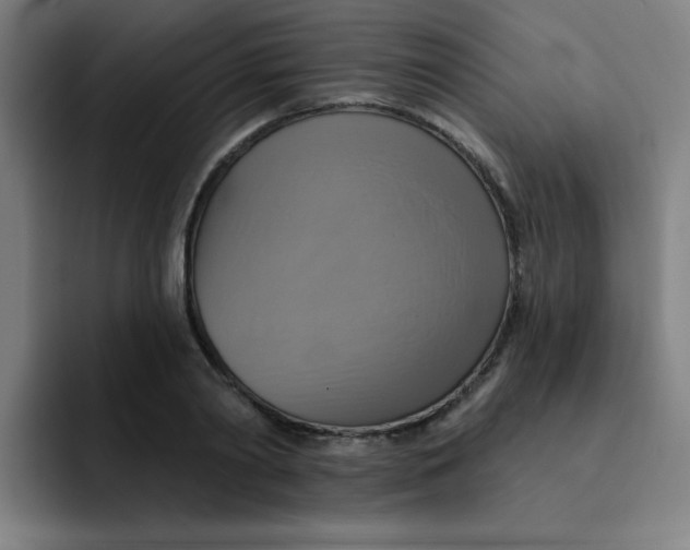 X0000091910790200709261715