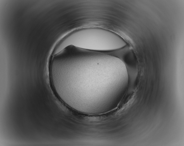 X0000091910792200709261715