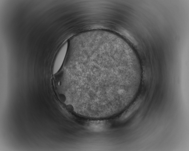 X0000091910793200709261715