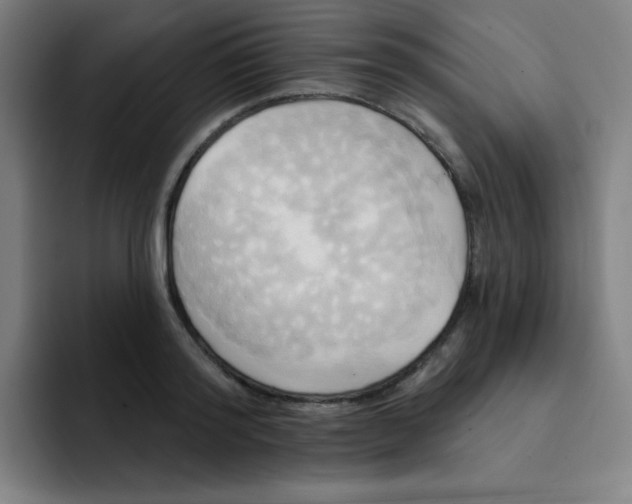 X0000091910796200709261715