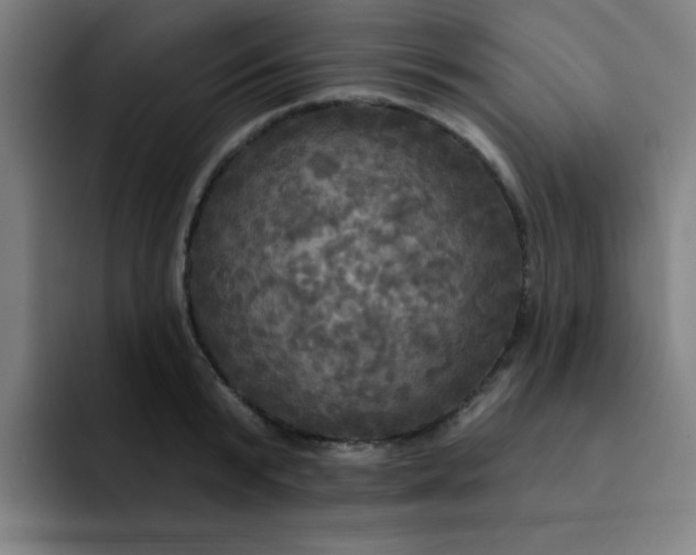 X0000091910799200709261715