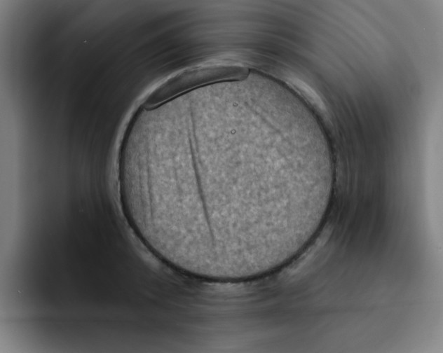 X0000091910800200709261715