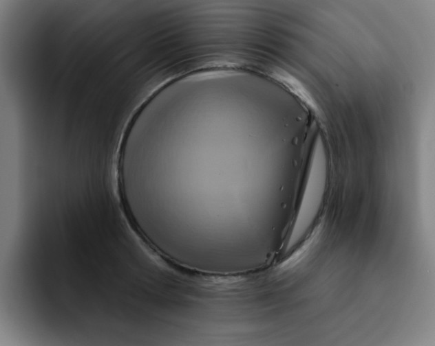 X0000091910802200709261715