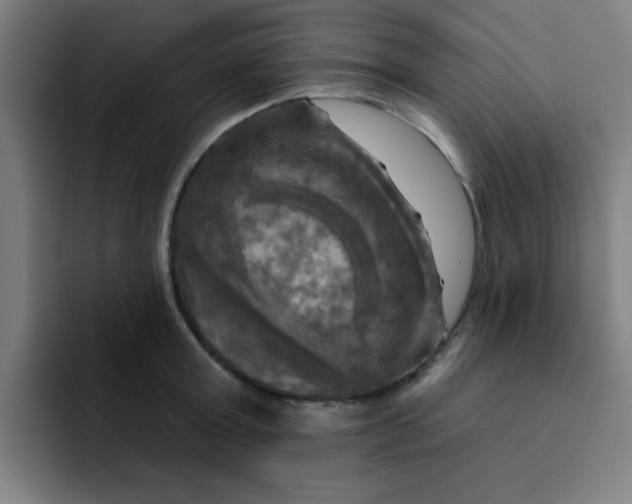 X0000091910803200709261714