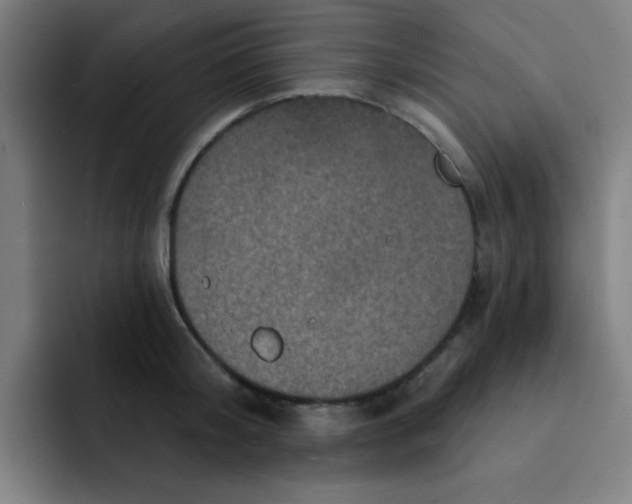 X0000091910804200709261714