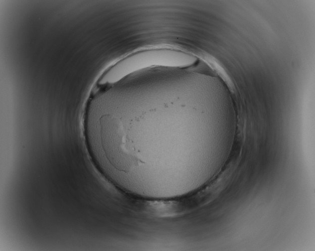 X0000091910805200709261714