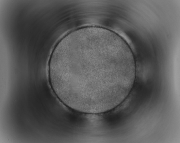 X0000091910807200709261714