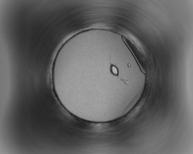 X0000091910808200709261714