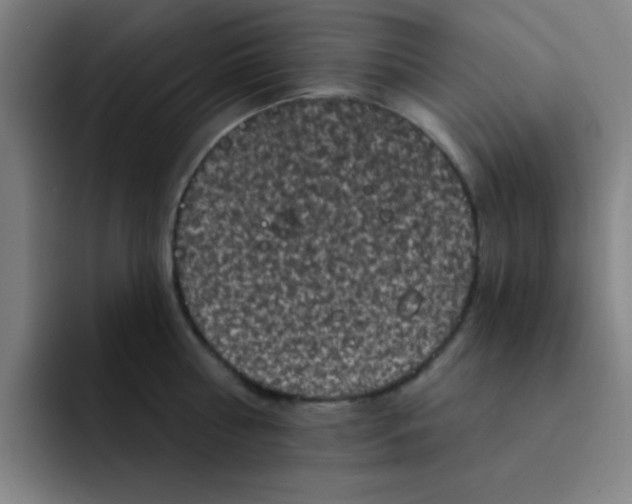 X0000091910810200709261714