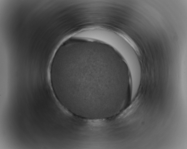 X0000091910813200709261714