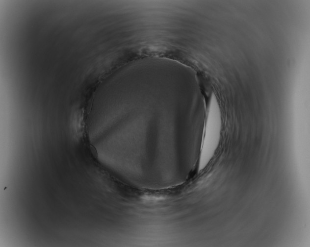 X0000091910818200709261714