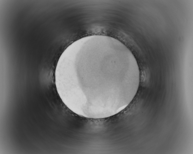 X0000091910820200709261714