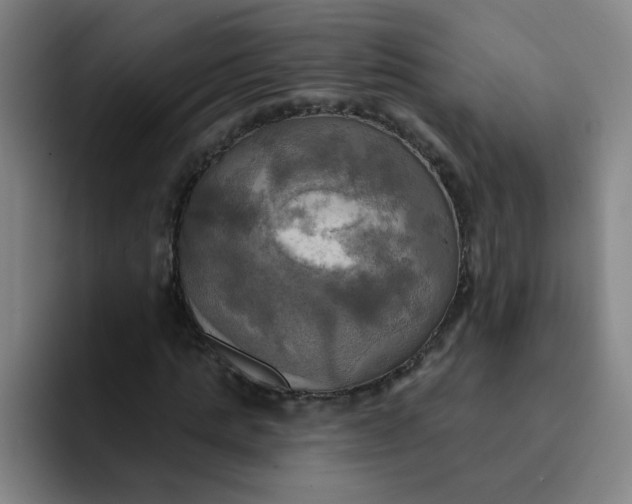 X0000091910821200709261714