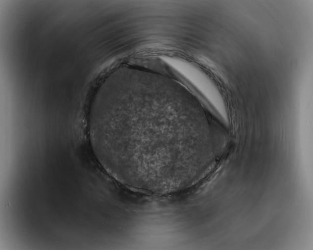 X0000091910822200709261714