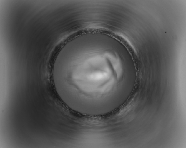 X0000091910823200709261714