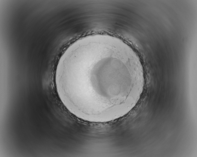 X0000091910824200709261714