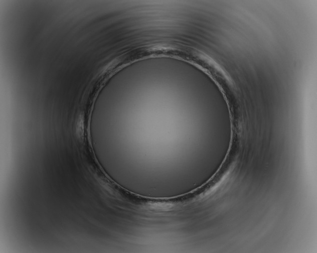 X0000091910825200709261714