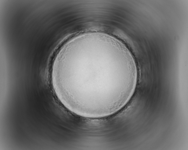 X0000091910828200709261714