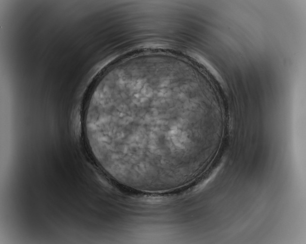 X0000091910829200709261714