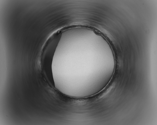 X0000091910830200709261714