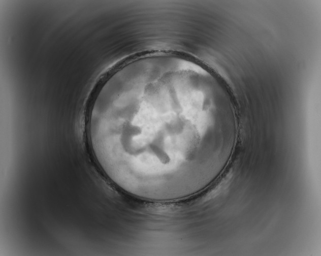 X0000091910831200709261714