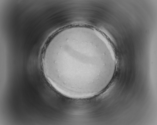 X0000091910832200709261714