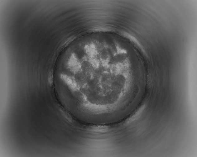 X0000091910833200709261714