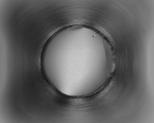 X0000091910834200709261714