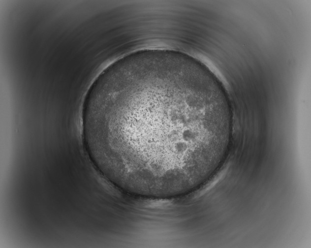 X0000091910837200709261714