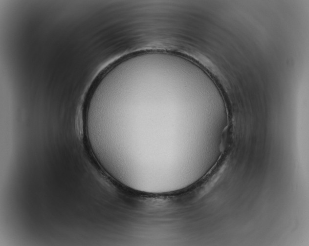 X0000091910838200709261714