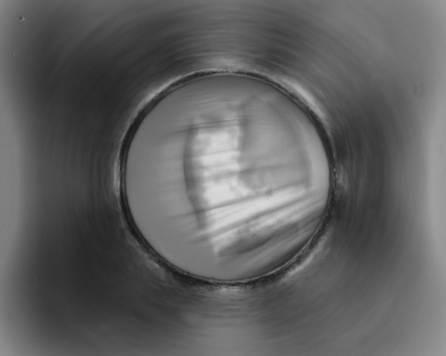 X0000091910839200709261714