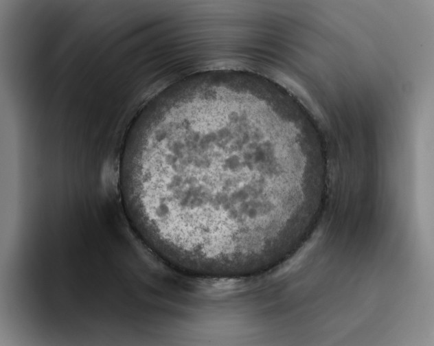 X0000091910841200709261714