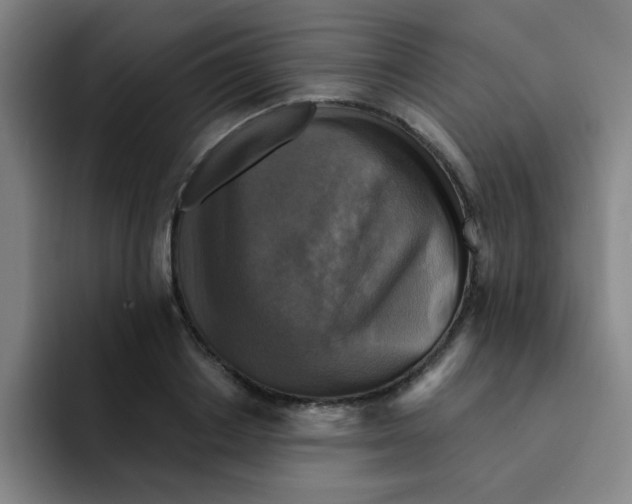 X0000091910842200709261714