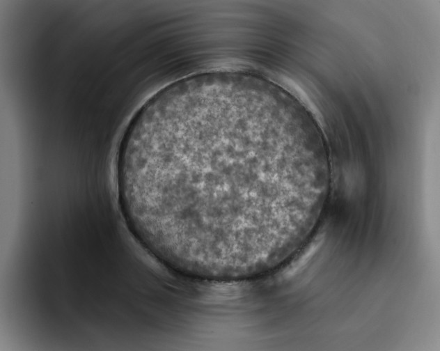 X0000091910843200709261714