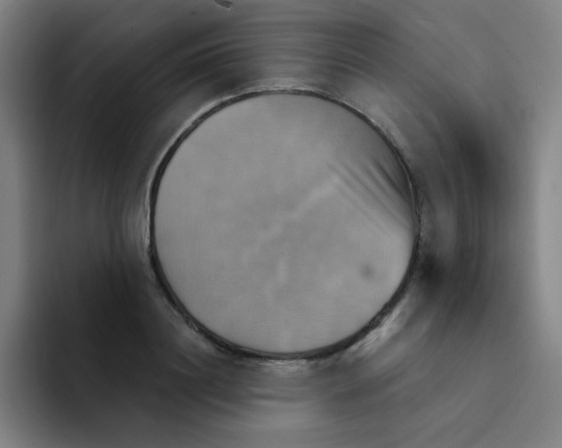 X0000091910844200709261714